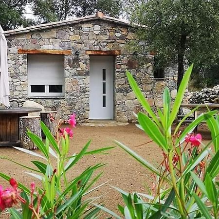 Domaine Rondini Otel Moltifao Dış mekan fotoğraf