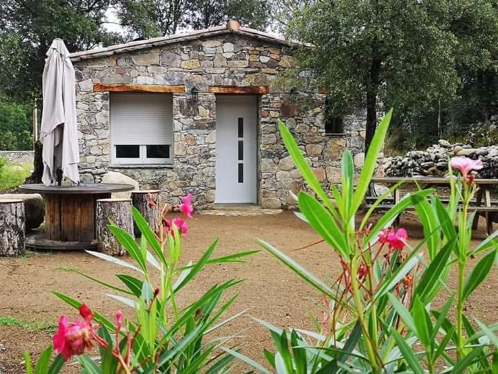 Domaine Rondini Otel Moltifao Dış mekan fotoğraf