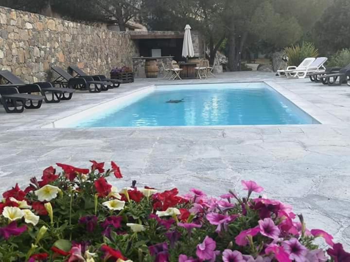 Domaine Rondini Otel Moltifao Dış mekan fotoğraf