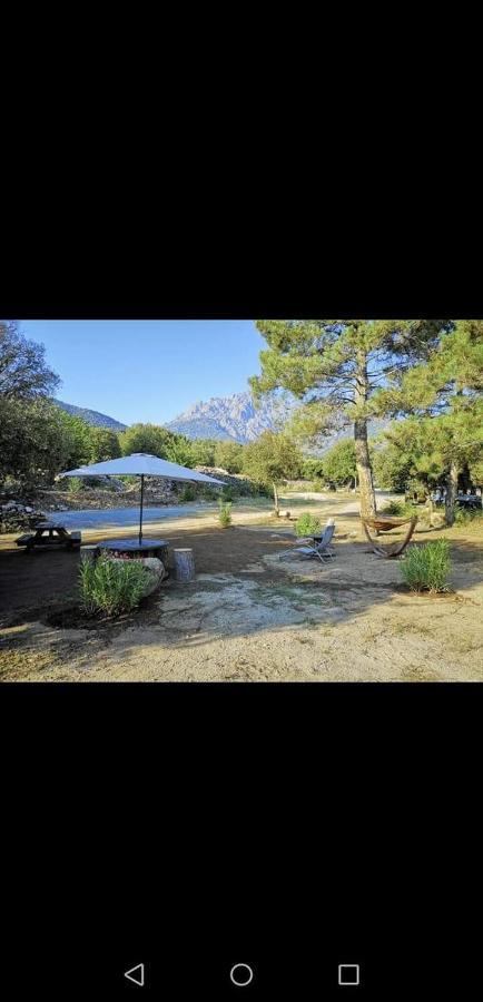 Domaine Rondini Otel Moltifao Dış mekan fotoğraf