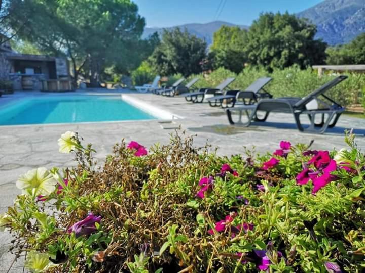 Domaine Rondini Otel Moltifao Dış mekan fotoğraf